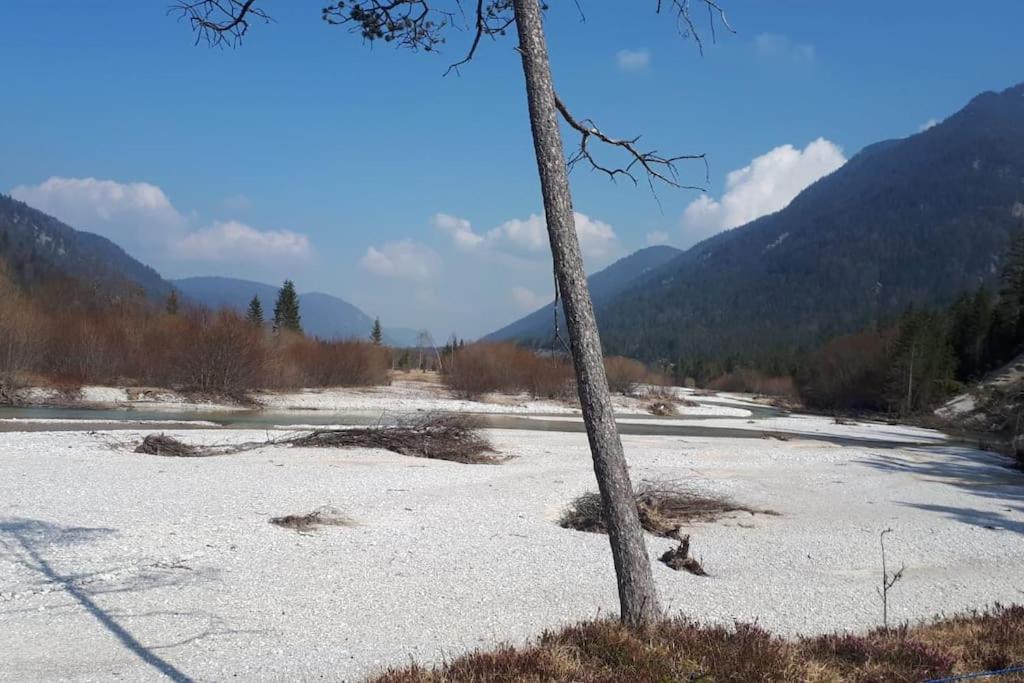 Appartamento Haus Sunnawind Wallgau Esterno foto